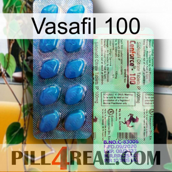 Vasafil 100 new02.jpg